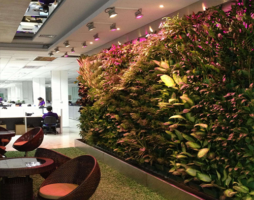 室內(nèi)綠植照明
